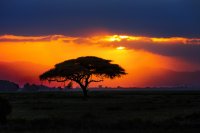 Een bezoekje aan Zuid Afrika